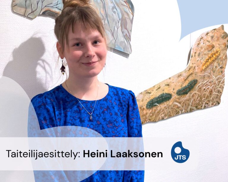 Taiteilijaesittely: Heini Laaksonen